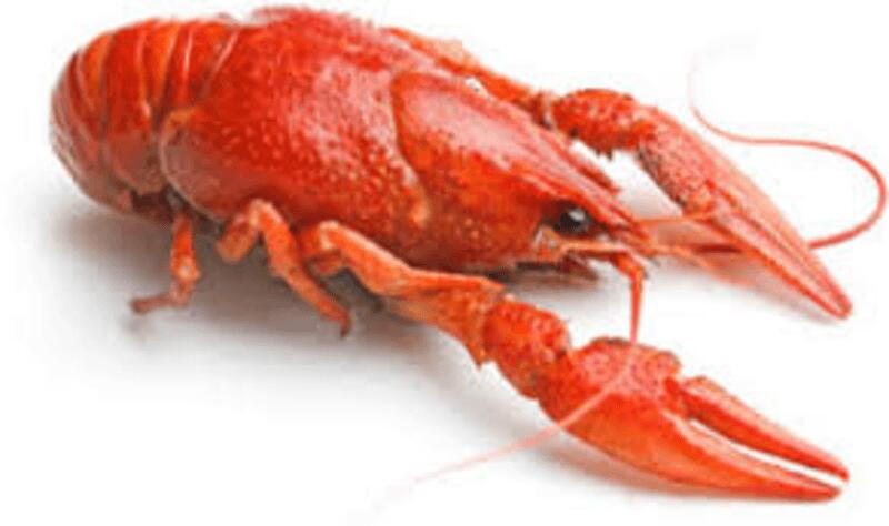 0.5LB CRAWFISH