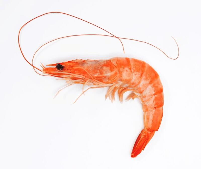 0.5LB SHRIMP(HEAD ON)