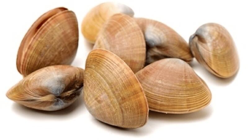 0.5LB BABY CLAMS