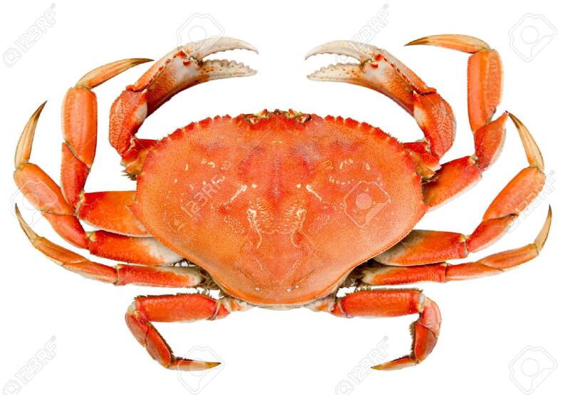 0.5LB DUNGENESS                 