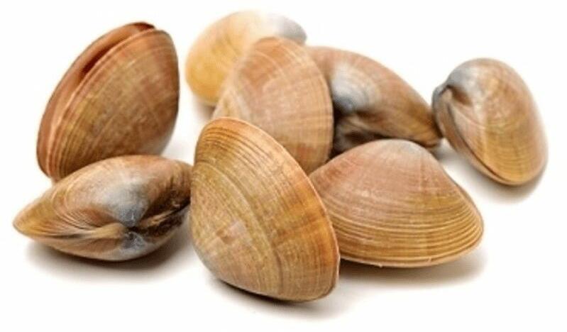 Baby Clams