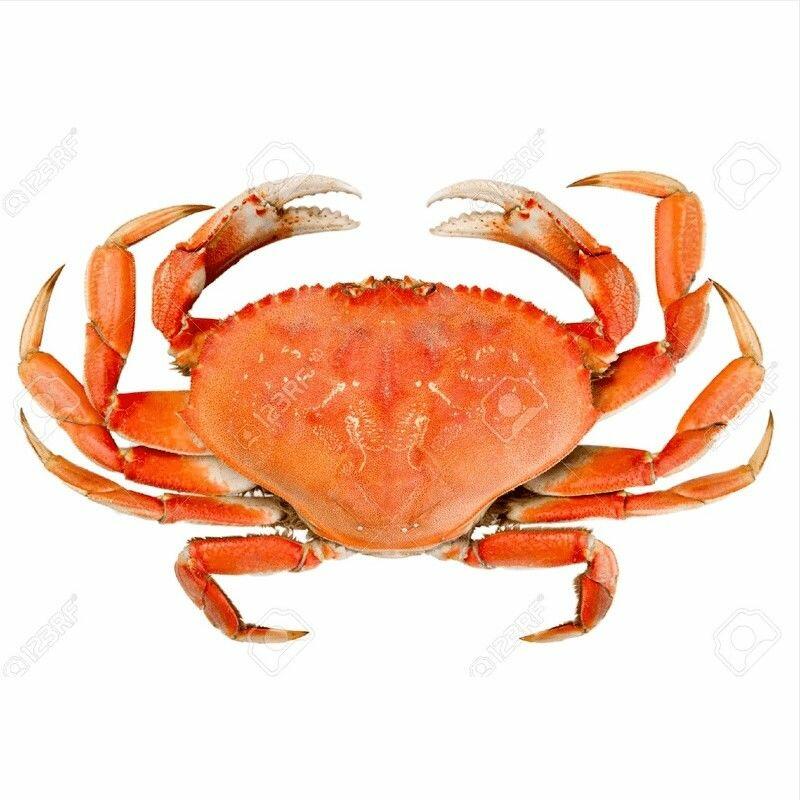 0.5LB DUNGENESS