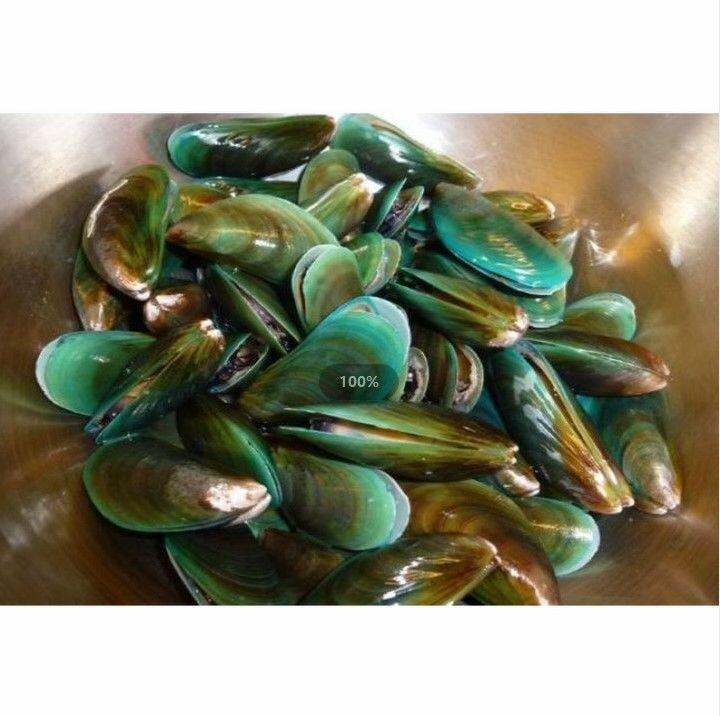 0.5LB GREEN MUSSEL