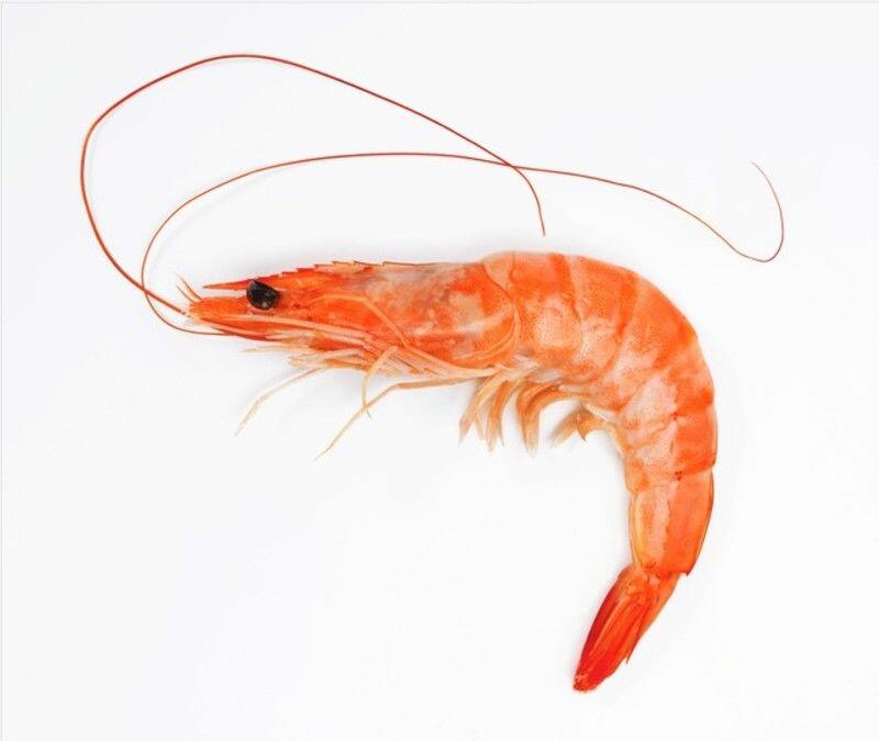 SHRIMP(HEAD ON)
